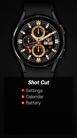 SamWatch Steelo Series 2 2021 Screenshot 2