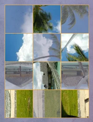 Spin Puzzle Pro Screenshot 1