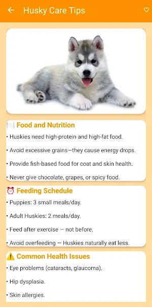 BreedBuddy: Pet Care Tips Screenshot 3