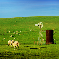 Blue Sky Farm Theme +HOME