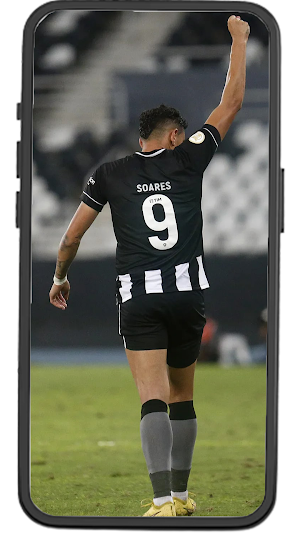 Botafogo Wallpapers Screenshot 0