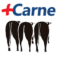 Matsuda + Carne