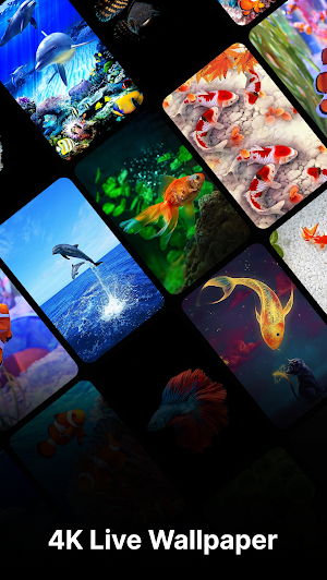 Live Wallpapers - Backgrounds Screenshot 3