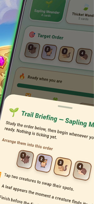 PatchBrimwoven Screenshot 3