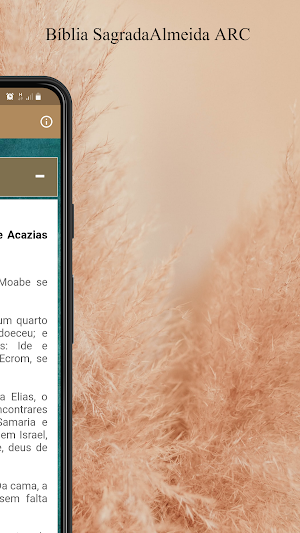 Bíblia Sagrada Almeida ARC Screenshot 2
