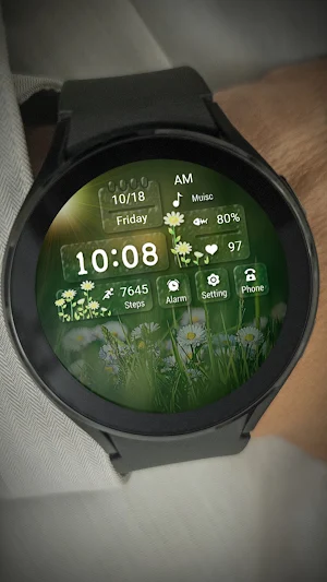 Summer Scene ZKin Watch Screenshot 3