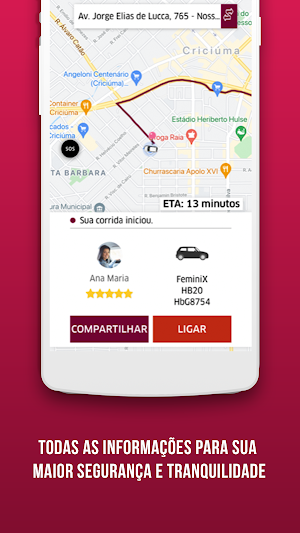 Femini Driver Passageira Screenshot 2