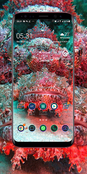Under Ocean Wallpaper Screenshot 0