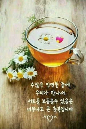 아름다운 인사와 소원 Screenshot 1