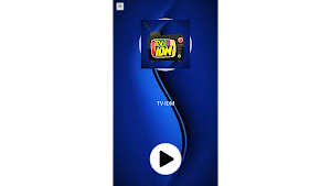 TV IDM Screenshot 2