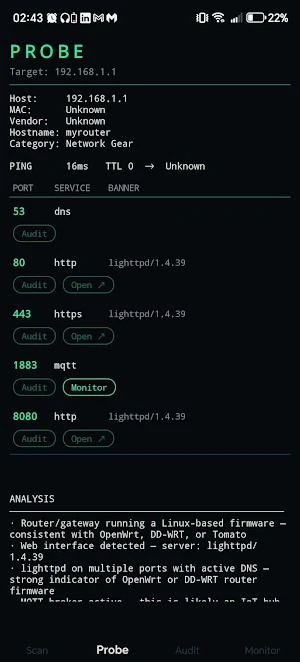 NetScope Screenshot 2
