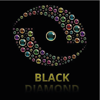 Black Diamond Beauty Center