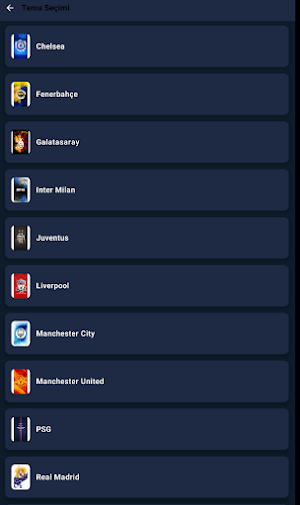 NetPlayer Screenshot 2