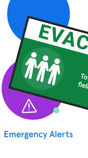 Vivi Display Screenshot 2