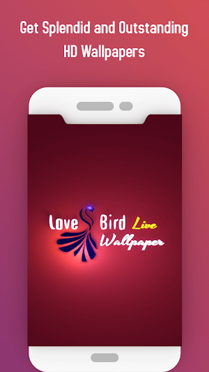 Love bird Live wallpaper Screenshot 0