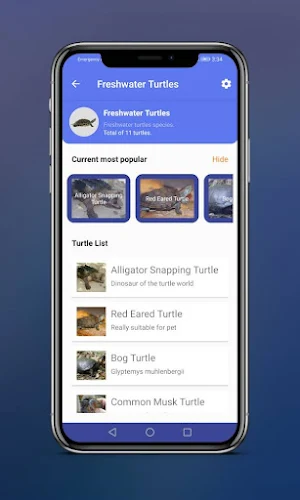Turtle Magazine Screenshot 1