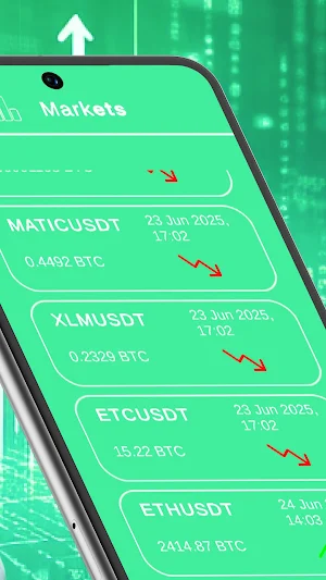 IncomeTrack Screenshot 2