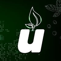 Uai Grãos