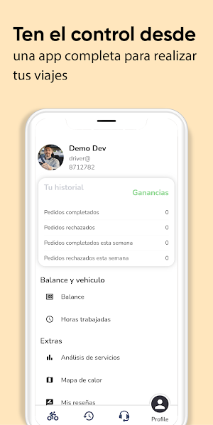 Bidwink Driver Screenshot 1