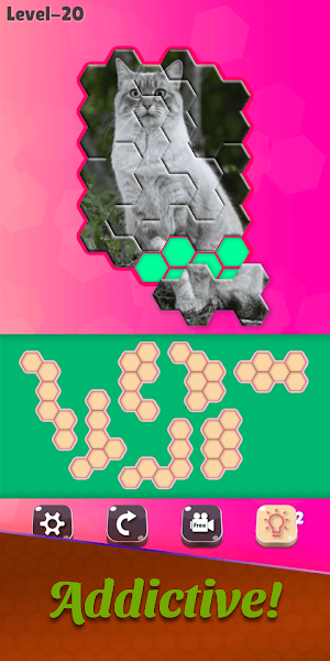 Block Hexa Puzzle - Cats Jigsaw Screenshot 2