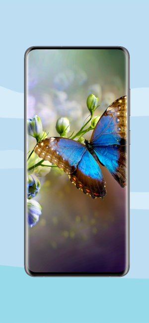 Cute Animal Wallpapers 4K Screenshot 0