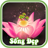 Kỹ Năng Sống Đẹp Và Hạnh Phúc