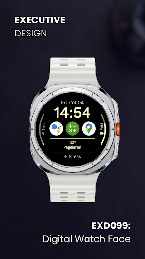 EXD099: Digital Watch Face Screenshot 2