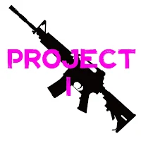 Project I
