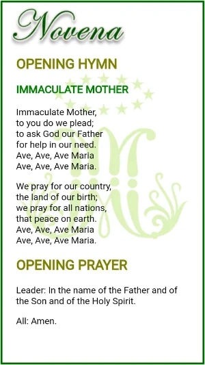 Our Lady of Perpetual Help Screenshot 2