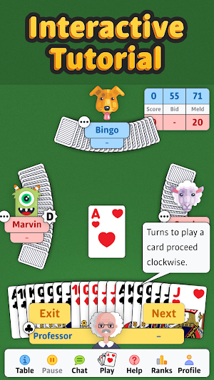 Double Deck Pinochle ‣ Screenshot 3