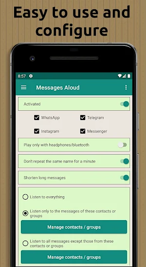 Messages Aloud Screenshot 0