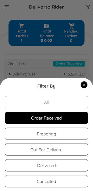 Delivarto Rider screenshot 7
