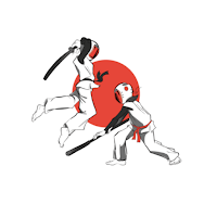 sport : chambara sport