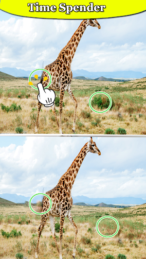 Spot Difference - Bird Puzzle Screenshot 1