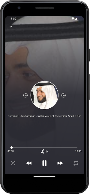 Nabil Ar Rifai Quraan offline Screenshot 2