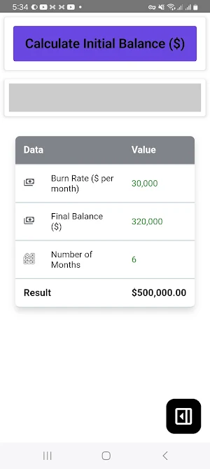 Burn Rate Calculator Screenshot 3