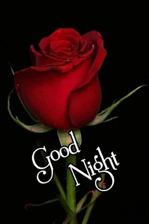 Good Night Love Images 2023 Screenshot 0