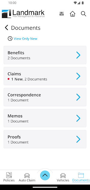 Landmark Risk Management Screenshot 2