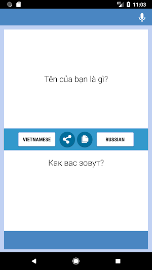 Vietnamese-Russian Translator Screenshot 0