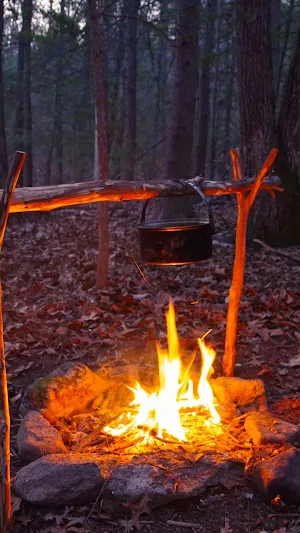 Wilderness Survival Wallpaper Screenshot 0