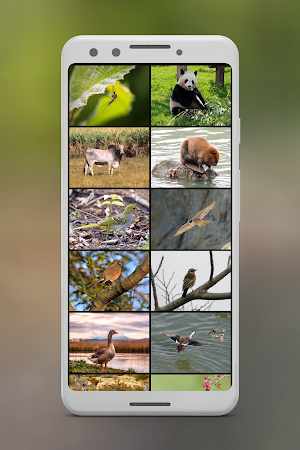 Animal Sounds Ringtones Screenshot 3