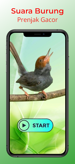 Suara Burung Prenjak Gacor screenshot 5
