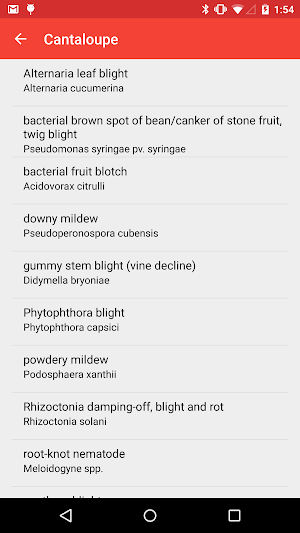 Vegetable Doctor Screenshot 1