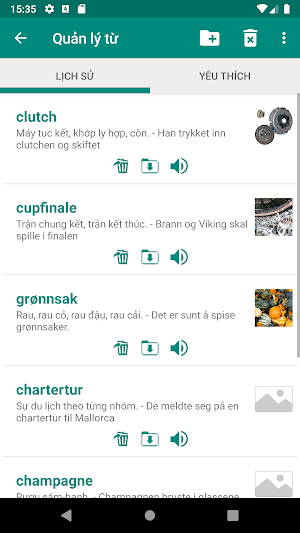 Norwegian Vietnamese Dictionary Screenshot 3