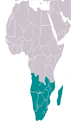 South Africa Screenshot 3