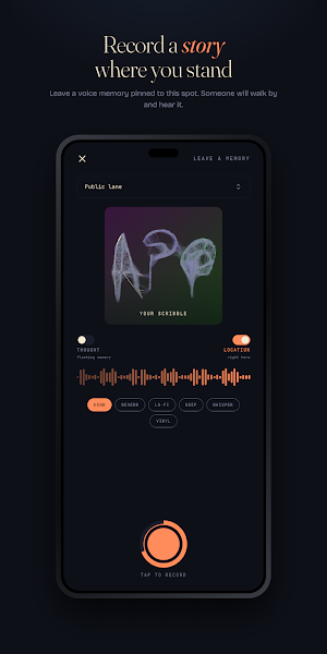 MemoryLane: Voice Map Screenshot 2