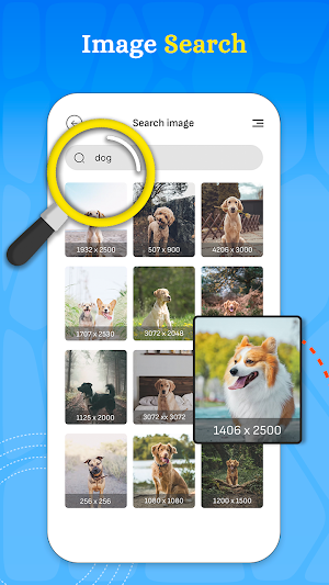 Image Search Screenshot 0