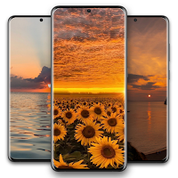 Aesthetic Sunset Wallpaper