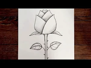 تعليم الرسم خطوة بخطوة 2022 Screenshot 0