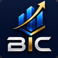 BIC Ventures